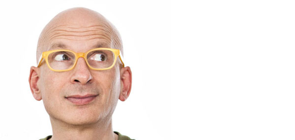 Seth Godin, grey thinker