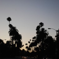 Los Angeles at night #LiveGrey